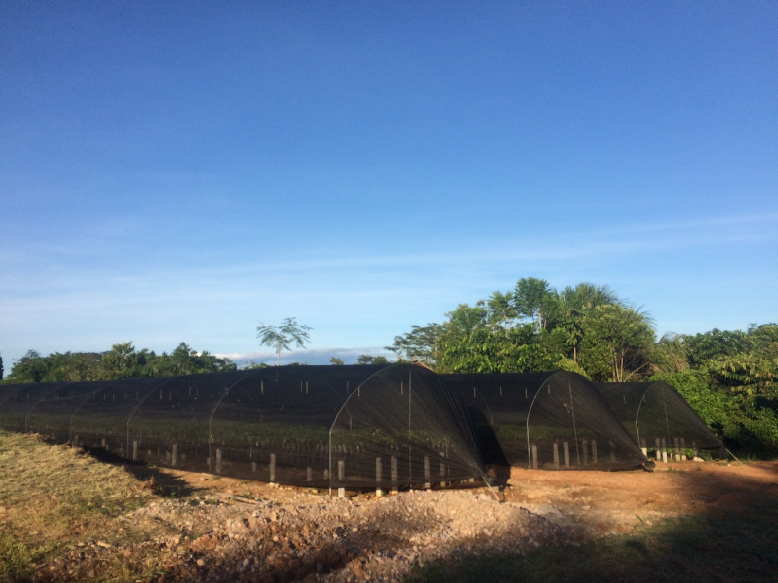 Infraestructura exterior del vivero de cacao